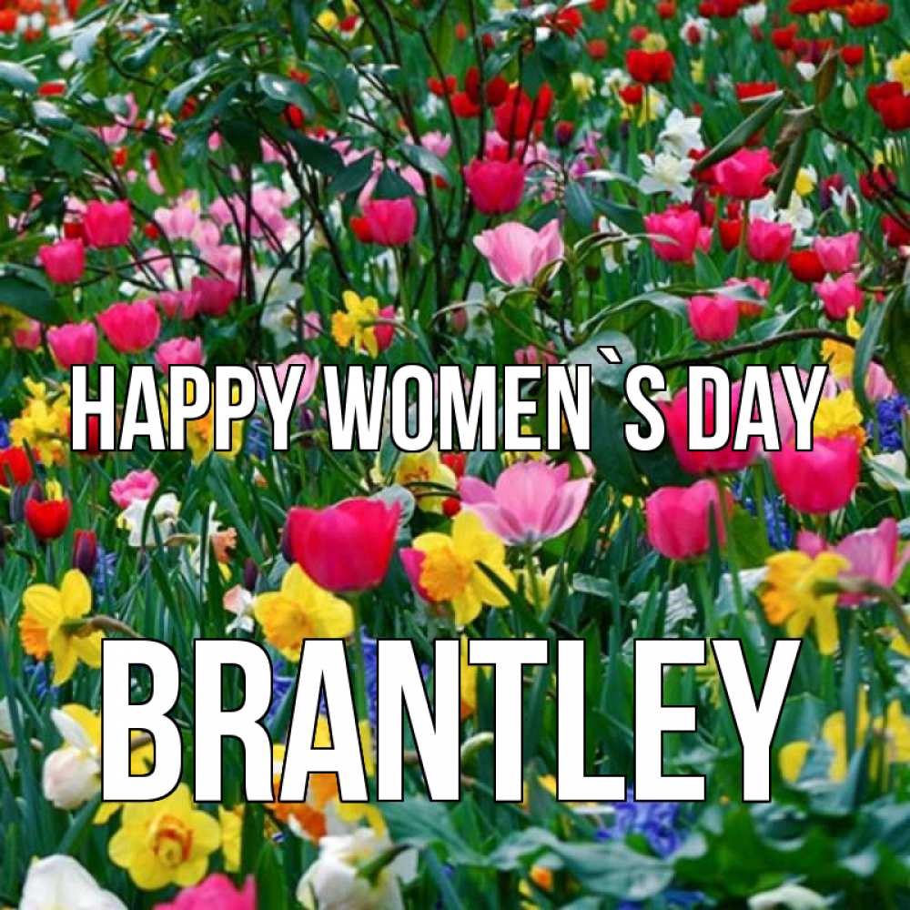 Greetings card с именем, Brantley happy women`s day с международным женским днем поздравления для женщины Greetings with text for free download 